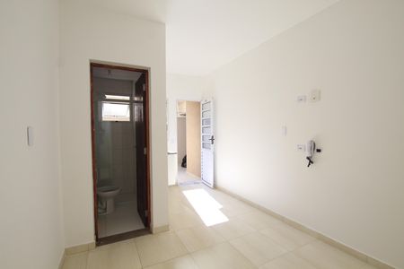Kitnet/Studio para alugar com 1 quarto, 19m² em Cambuci, São Paulo