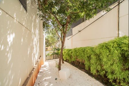 Apartamento à venda com 67m², 2 quartos e 1 vaga Apartamento à venda com 67m², 2 quartos e 1 vagaÁrea comum - Pet place