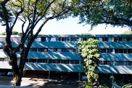 Apartamento para alugar com 65m², 3 quartos e 1 vagaVista Quarto 1 