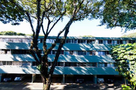 Apartamento para alugar com 65m², 3 quartos e 1 vagaVista Quarto 3 