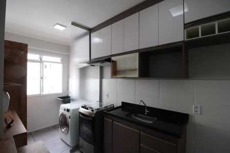 Cozinha  de apartamento para alugar com 2 quartos, 46m² em Residencial das Americas, Ribeirão Preto