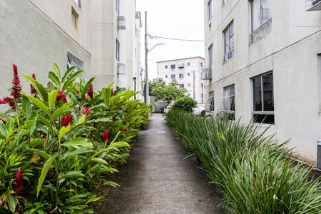 Apartamento para alugar com 45m², 2 quartos e 1 vaga Apartamento para alugar com 45m², 2 quartos e 1 vagaÁrea comum