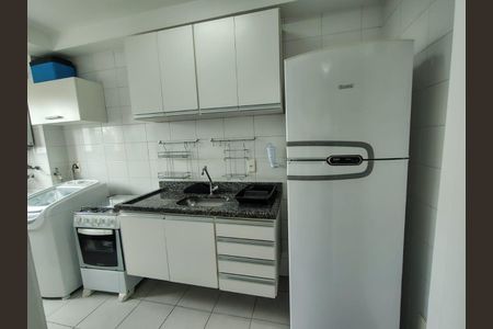 Cozinha de apartamento para alugar com 2 quartos, 50m² em Vila das Palmeiras, Guarulhos