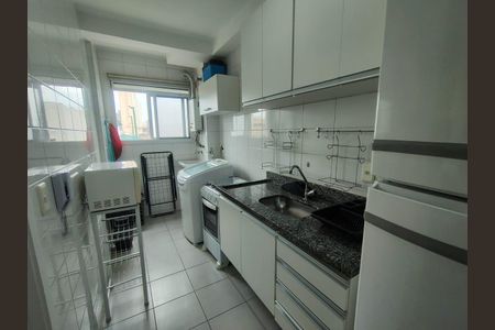 Cozinha de apartamento para alugar com 2 quartos, 50m² em Vila das Palmeiras, Guarulhos
