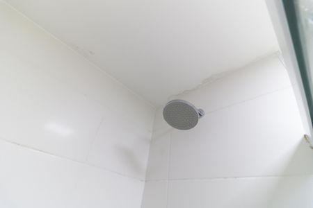 Apartamento à venda com 54m², 2 quartos e 1 vaga Apartamento à venda com 54m², 2 quartos e 1 vagaBanheiro da Suíte