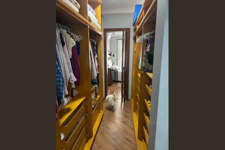 Casa à venda com 302m², 4 quartos e 5 vagas