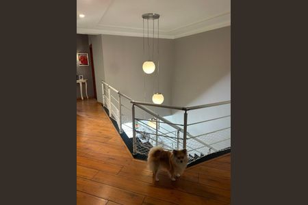 Casa à venda com 302m², 4 quartos e 5 vagas