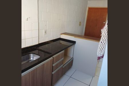 Cozinha de apartamento para alugar com 2 quartos, 38m² em São Luiz, Gravataí