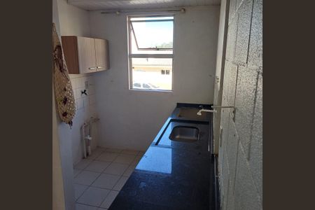 Cozinha de apartamento para alugar com 2 quartos, 38m² em São Luiz, Gravataí
