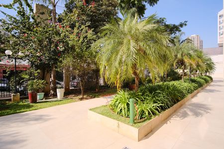 Apartamento à venda com 81m², 3 quartos e 2 vagasÁrea comum