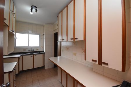 Apartamento para alugar com 114m², 3 quartos e 1 vagaCozinha