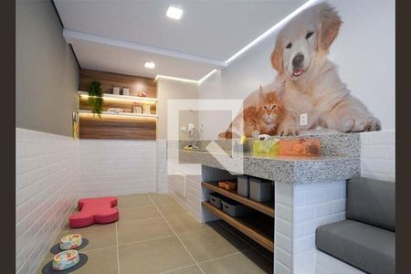 Apartamento para alugar com 38m², 1 quarto e sem vaga Apartamento para alugar com 38m², 1 quarto e sem vagaCuidado Pet