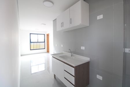 Apartamento para alugar com 39m², 2 quartos e sem vagaCozinha