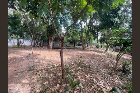 Apartamento para alugar com 42m², 2 quartos e 1 vaga Apartamento para alugar com 42m², 2 quartos e 1 vagaBosque