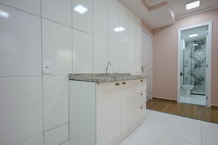Apartamento para alugar com 38m², 2 quartos e sem vagaCozinha