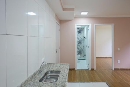 Cozinha de apartamento para alugar com 2 quartos, 38m² em Vila Suzana, São Paulo