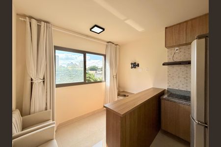 Sala de kitnet/studio para alugar com 1 quarto, 27m² em Chácara Santo Antônio (zona Sul), São Paulo