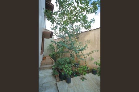 Casa para alugar com 249m², 4 quartos e 5 vagasQuintal 