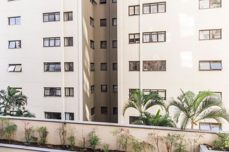 Apartamento para alugar com 78m², 2 quartos e 2 vagas Apartamento para alugar com 78m², 2 quartos e 2 vagasVista do Quarto 2