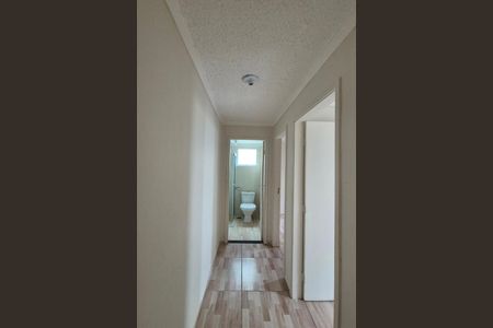 Corredor  de apartamento para alugar com 2 quartos, 49m² em Residencial Sírius, Campinas