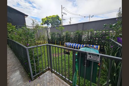Studio para alugar com 25m², 1 quarto e sem vagaPet Place