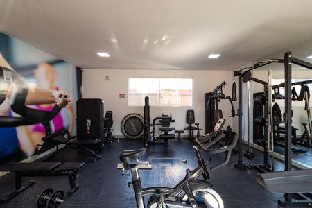 Academia de apartamento para alugar com 2 quartos, 52m² em Lapa de Baixo, São Paulo