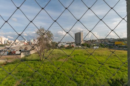Apartamento para alugar com 3 quartos, 80m² em Paquetá, Belo Horizonte