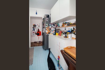 Apartamento à venda com 60m², 2 quartos e 1 vaga Apartamento à venda com 60m², 2 quartos e 1 vagaCozinha