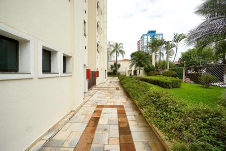 Apartamento para alugar com 55m², 2 quartos e 1 vaga Apartamento para alugar com 55m², 2 quartos e 1 vagaÁrea comum