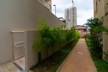 Apartamento para alugar com 40m², 2 quartos e sem vaga Apartamento para alugar com 40m², 2 quartos e sem vagaÁrea comum