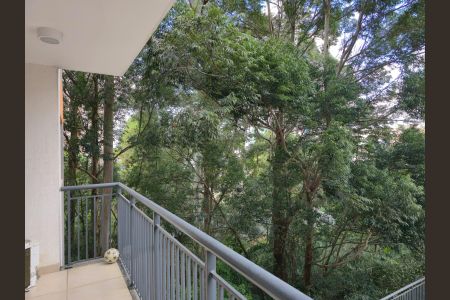 Apartamento para alugar com 75m², 3 quartos e 2 vagas Apartamento para alugar com 75m², 3 quartos e 2 vagasVaranda com vista para Piscina