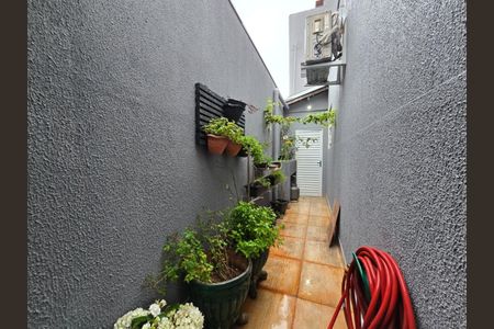 Casa à venda com 250m², 5 quartos e 3 vagas
