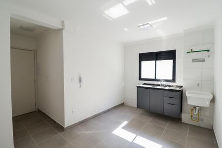 Sala/Cozinha/Área de Serviço de apartamento para alugar com 1 quarto, 37m² em Vila Dom Pedro Ii, São Paulo