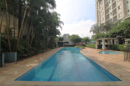 Apartamento para alugar com 50m², 2 quartos e 1 vagaPiscinas