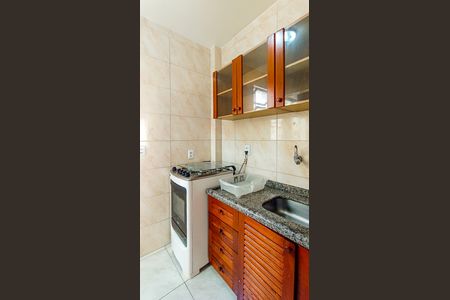 Apartamento para alugar com 45m², 1 quarto e sem vagaCozinha 