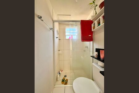Banheiro de apartamento para alugar com 2 quartos, 52m² em Jardim Nova Europa, Campinas