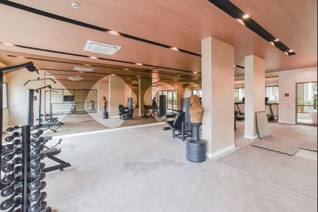 Apartamento à venda com 65m², 2 quartos e 1 vaga Apartamento à venda com 65m², 2 quartos e 1 vagaÁrea comum - Academia