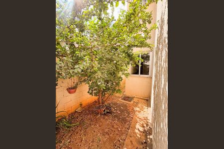 Apartamento para alugar com 140m², 3 quartos e 2 vagas Apartamento para alugar com 140m², 3 quartos e 2 vagasÁrea externa