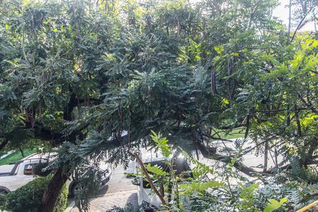 Casa de condomínio à venda com 327m², 4 quartos e 3 vagasVista da Sala