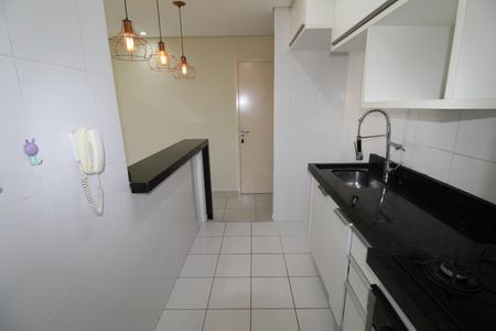 Apartamento para alugar com 55m², 2 quartos e sem vagaCozinha