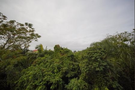 Vista da Sala de apartamento para alugar com 2 quartos, 52m² em Serraria, São José