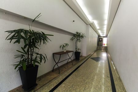 Apartamento para alugar com 75m², 3 quartos e sem vaga Apartamento para alugar com 75m², 3 quartos e sem vagaHall