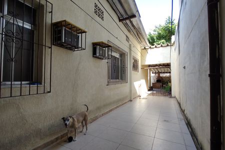 Casa de condomínio à venda com 218m², 5 quartos e 2 vagas Casa de condomínio à venda com 218m², 5 quartos e 2 vagasQuintal