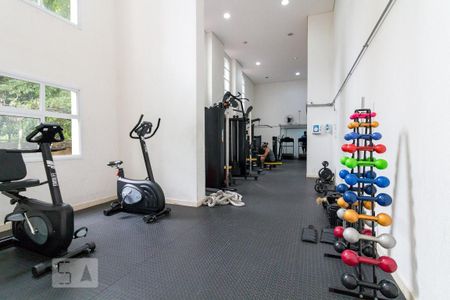 Apartamento para alugar com 59m², 2 quartos e 1 vaga Apartamento para alugar com 59m², 2 quartos e 1 vagaAcademia