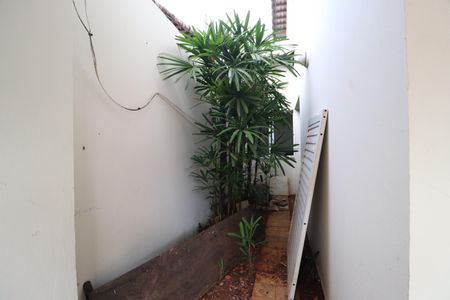 Casa para alugar com 196m², 3 quartos e 2 vagasJardim