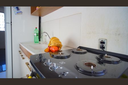 Cozinha  de apartamento para alugar com 2 quartos, 40m² em Jardim Dona Leopoldina, Porto Alegre