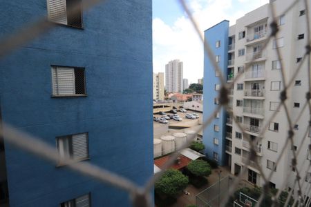 Apartamento para alugar com 68m², 3 quartos e sem vagaVista do Quarto 1