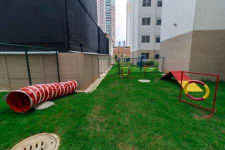 Apartamento para alugar com 33m², 2 quartos e sem vaga Apartamento para alugar com 33m², 2 quartos e sem vagaPet place