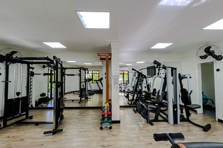 Área comum - Academia de apartamento para alugar com 3 quartos, 168m² em Vila Regente Feijó, São Paulo