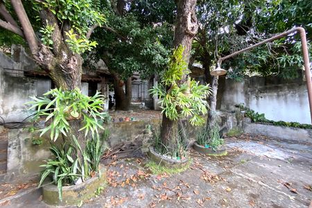 Casa à venda com 520m², 5 quartos e 3 vagasQuintal